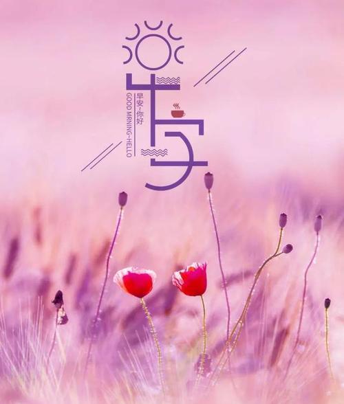 关于努力的唯美句子说说心情（《努力之美》）