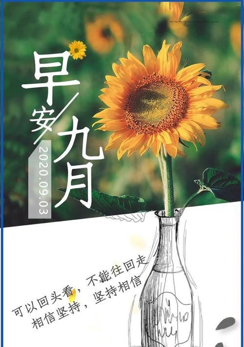 关于努力的唯美句子说说心情（《努力之美》）