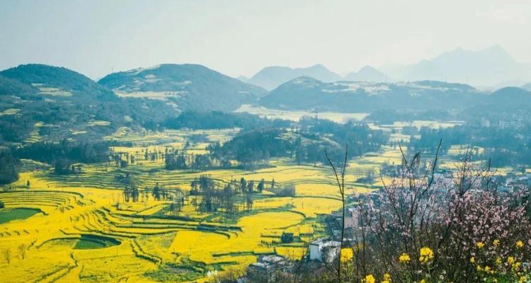 三月第一天正能量句子（花开花落，岁月静好）