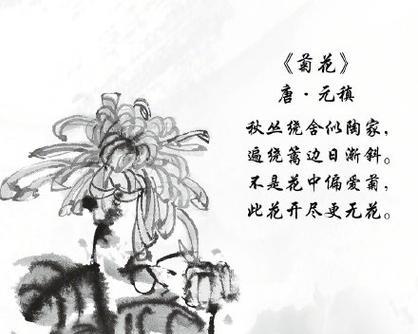 关于描写重阳节的句子（九九重阳，菊花飘香）
