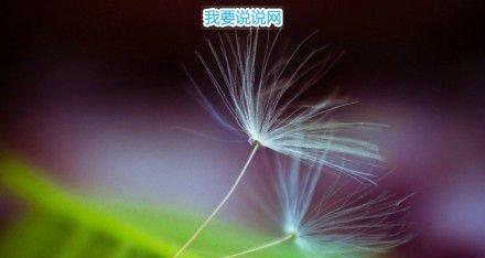 表达没人关心的说说（坚强，因为只有自己能帮助自己）