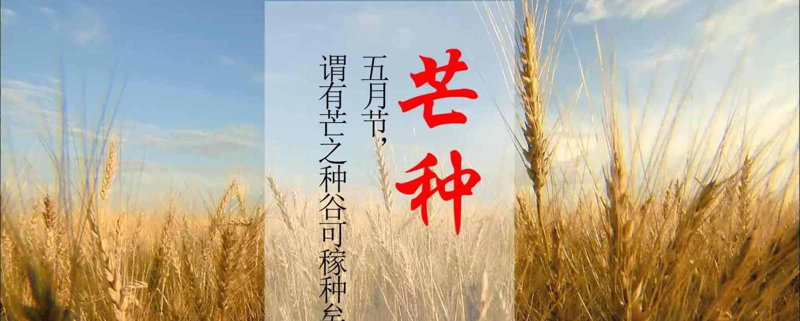 有关芒种诗词语句选集的短句摘抄（芒种诗词语句选集——盛夏美景）