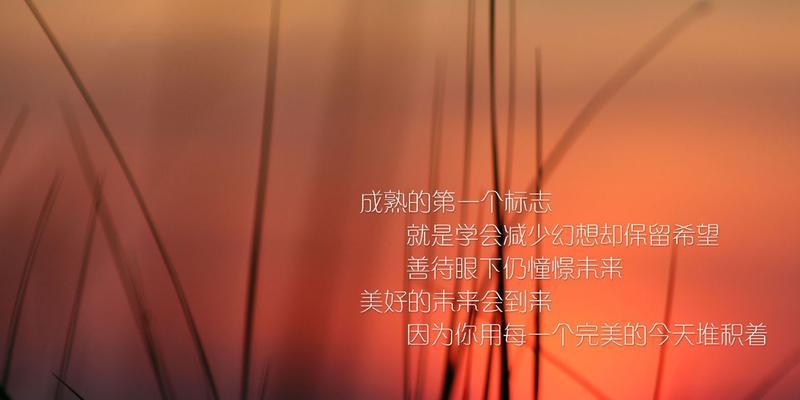 一些励志的好句（25句句子，25个故事，25份力量）