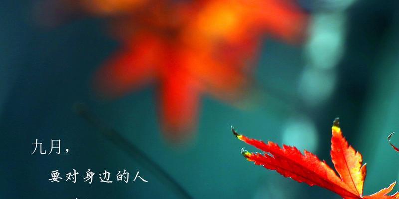 有关九月你好说说致自己2023的好句摘抄（《时光美景，相遇未来》）