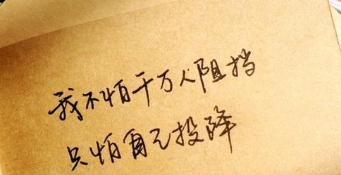 励志好词好句摘抄大全（奋斗的力量）
