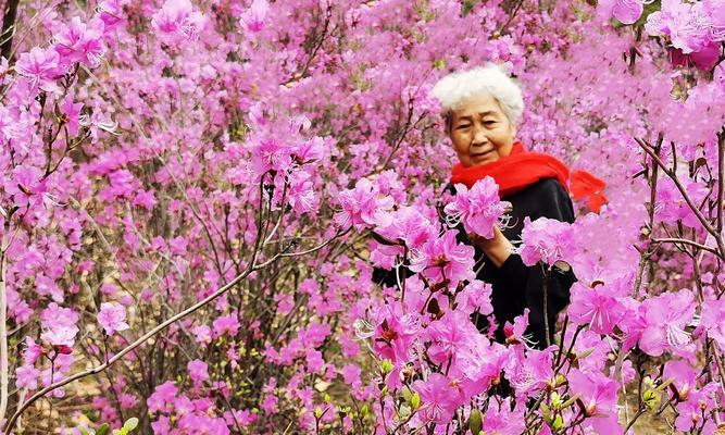 有关童年像盛放的鲜花的作文怎么写（《一个女孩子的成长故事》）