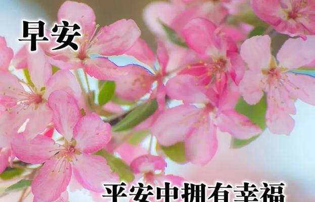 有关经典短句早安问候句子的好句子有哪些（唯美短句早安问候句子）