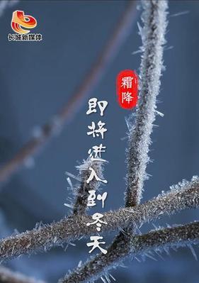今日霜降文案（霜降的清晨）