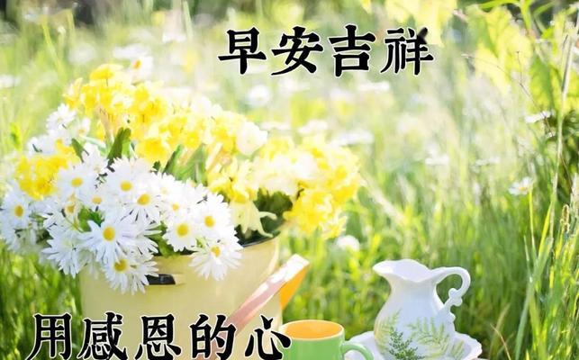 今日处暑的唯美句子（夏季即将结束）
