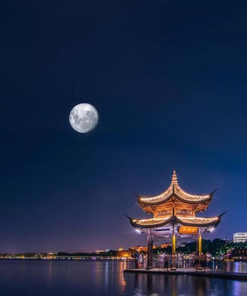 故乡的明月作文800字（《故乡皎洁的明月》）