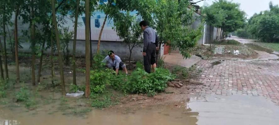 记忆中的故乡作文1000字作文（《记忆中故乡的雨》）