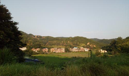 关于我爱故乡的作文（《我爱故乡山——探访山村的经历》）