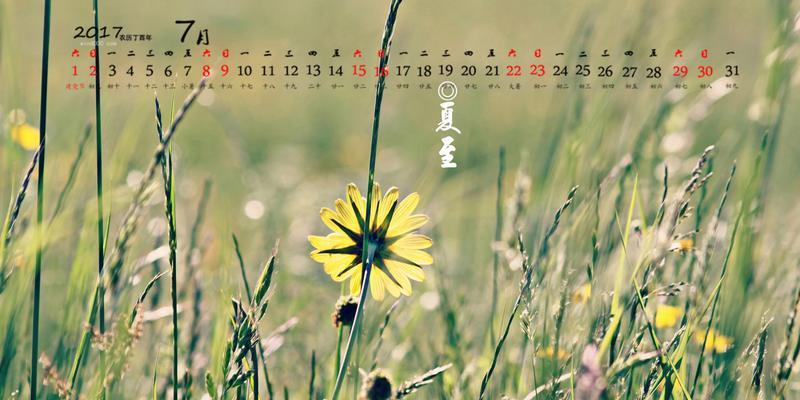 夏至时节祝福语（夏至的美好祝福语）