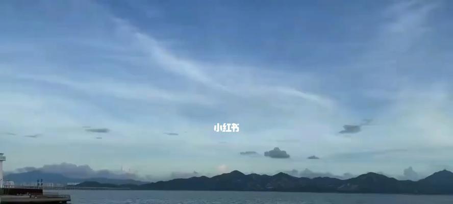 以大海是我的故乡为话题的作文怎么写（《偶遇海中小精灵》）