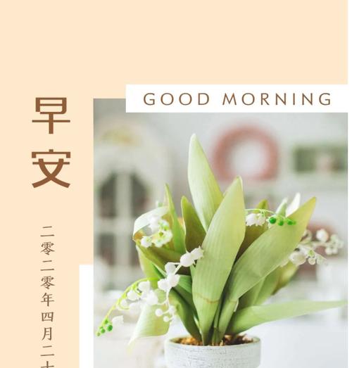 有内涵的早安文案（每日早安，喜迎新的一天）