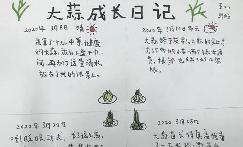 读懂大自然初中作文600字（《与大自然对话的奇妙之旅》）