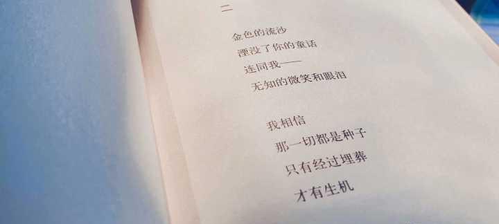 关于寂寞的摘抄（《孤独的美丽》）