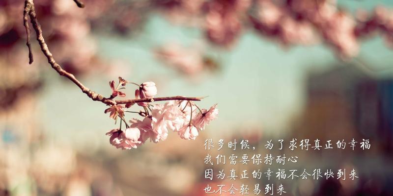 有关于花的唯美句子（花开如梦，唯美心情）