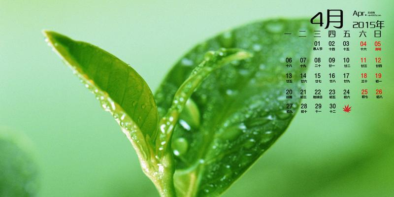 保护绿色作文800字（《绿色故事》）