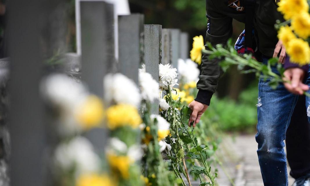 清明节网上祭拜寄语（思念在清明，祭拜亲人不止于线上）