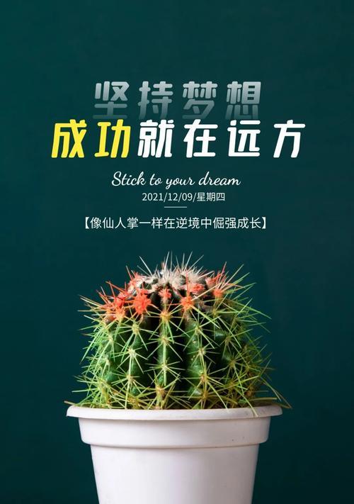 明年加油的说说（2023，让我们一起加油努力）