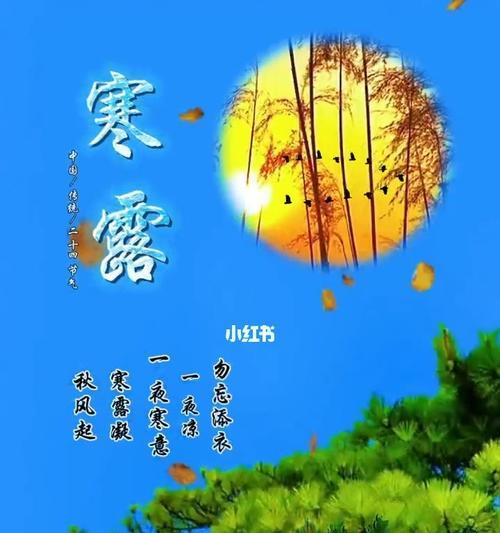 寒露节气发朋友圈经典说说（寒露时节美好句子大赏）