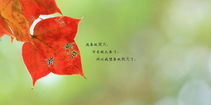 秋天发的说说短句（秋意盎然，风华正茂）