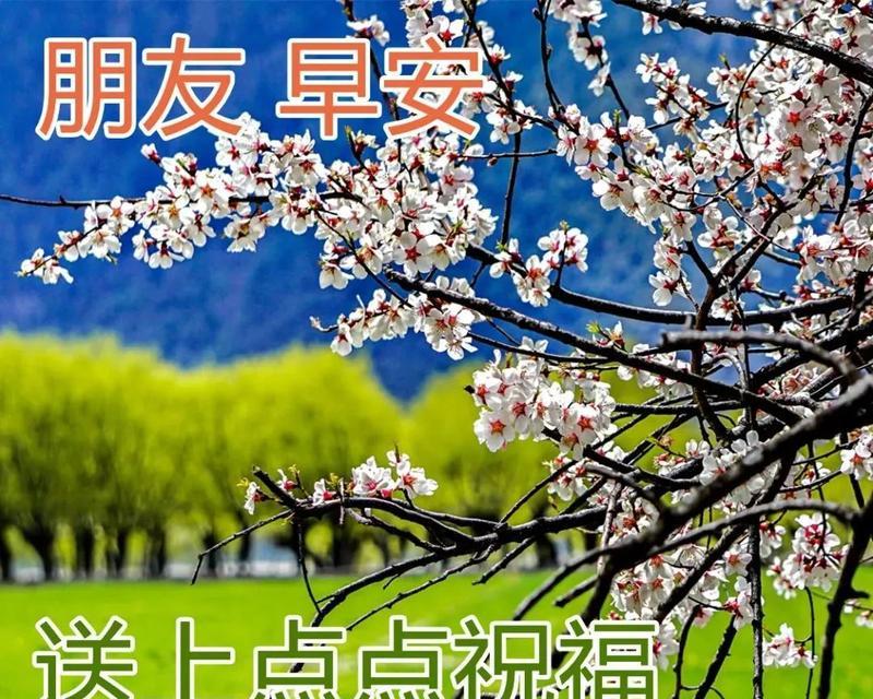 有关2023年早安问候语录说说的短句有哪些（用唯美短句祝福每一个美好的日子）