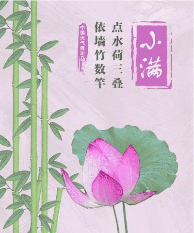 关于小满的句子精选（小满时节的美好）