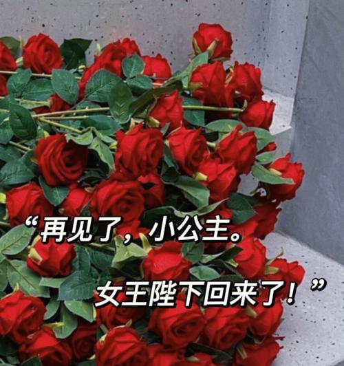 今年三八妇女节文案（向所有的女性致敬——2023年三八妇女节）