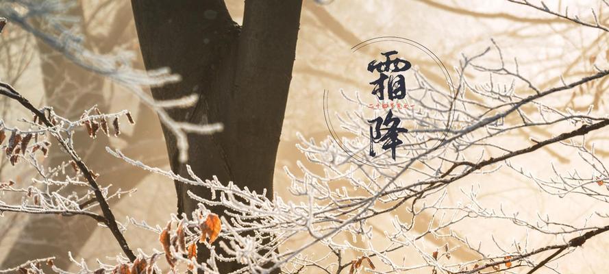 有关霜降唯美祝福好句的好句子有哪些（寄语初冬，迎接降温的季节）