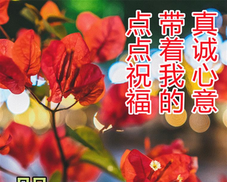 2021中考祝福语和鼓励的话（微信祝福语，点亮中考之路）