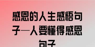 有关于感恩的优美句子（感恩，生命的花香）