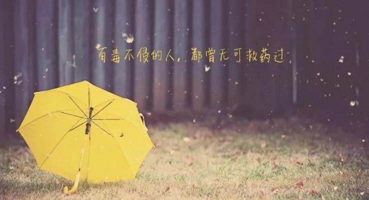 有关局外人经典句子的句子大全（《局外人》经典句子）