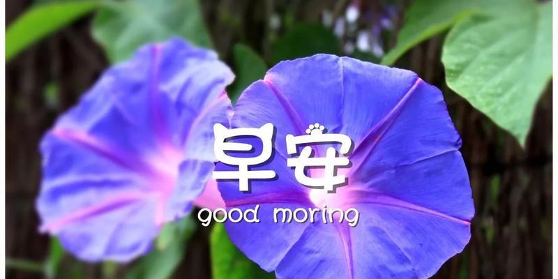 微信朋友圈早安正能量说说短句（微信朋友圈早安心语）