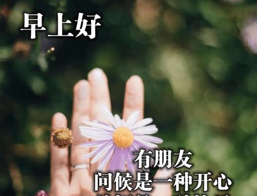 早安打招呼情话（早安）