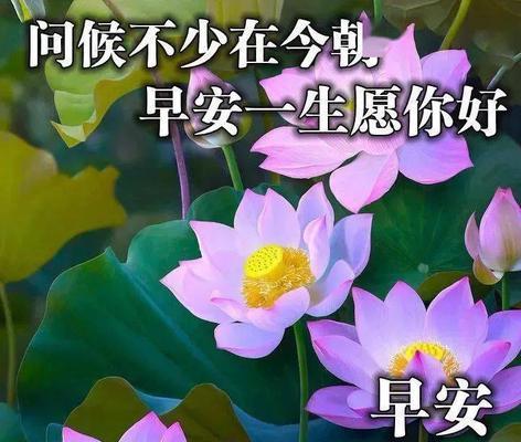 周一早安问候语正能量说说精选（温馨的话语，温暖你的心灵）