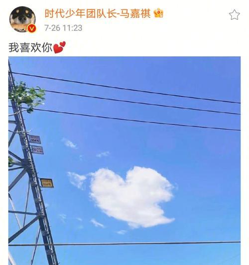 最难忘的细节作文800字记叙文（《母亲眼中的世界》）