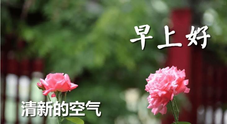 有关祝早安的祝福语的句子简短（清晨花开，祝早安。）