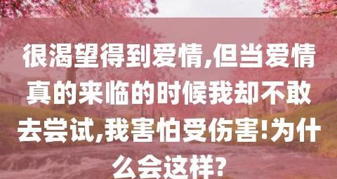 我渴望得到作文700字作文（《心之所向》）