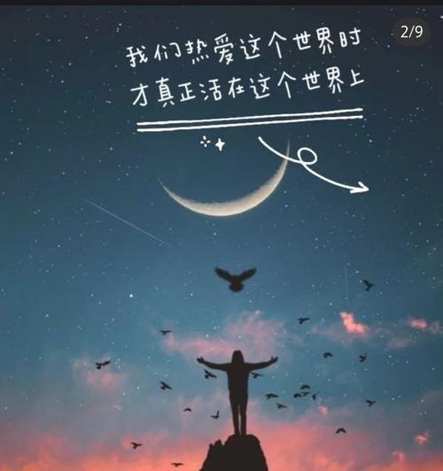 直击心灵的句子简短（人生苦短，唯有梦想不灭）