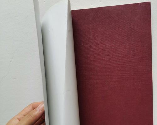 奋斗取得成功作文（《跨越重重困难，梦想终将实现》）