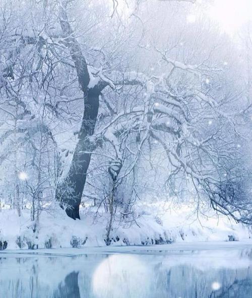 形容冬天寒冷的优美语句（Winter'sChill:ACollectionofBreathtakinglyBeautifulDescriptions）