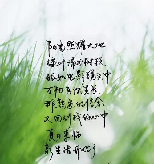 让对方看到暖心的句子2021（温暖如春阳，言语如花开）