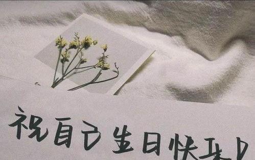 有关生日唯美短句幽默的好句子（生日快乐，让我们一起庆祝这个特别的日子！）