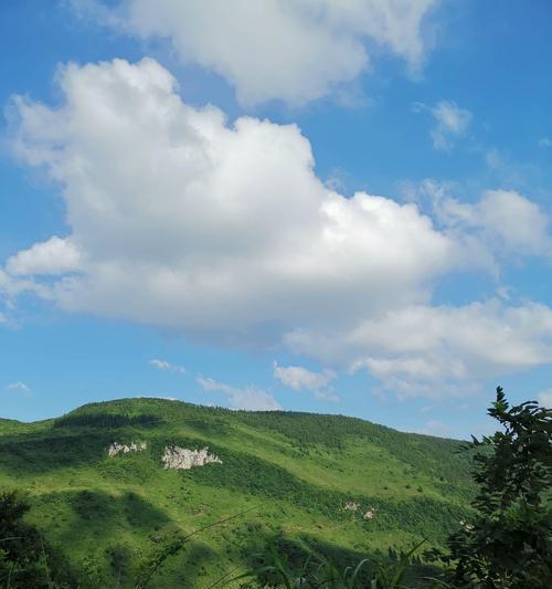 藏在心里的风景作文（《藏在心底的风景》）