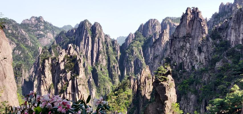 旅游风光作文（《一段跨越国界的旅途》）
