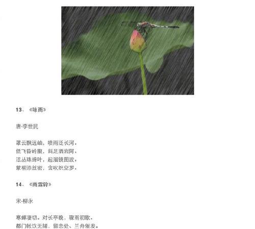 带月的唯美诗句大全（月下诗行）