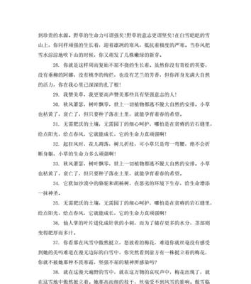 有关优美唯美句子摘抄唯美短句的句子有哪些（唯美短句之思绪）