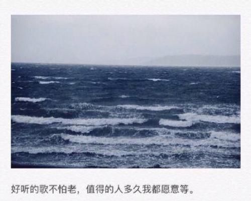 关于心情的句子短句（心情美文）